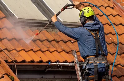 Démoussage et hydrofuge de toiture à Firbeix